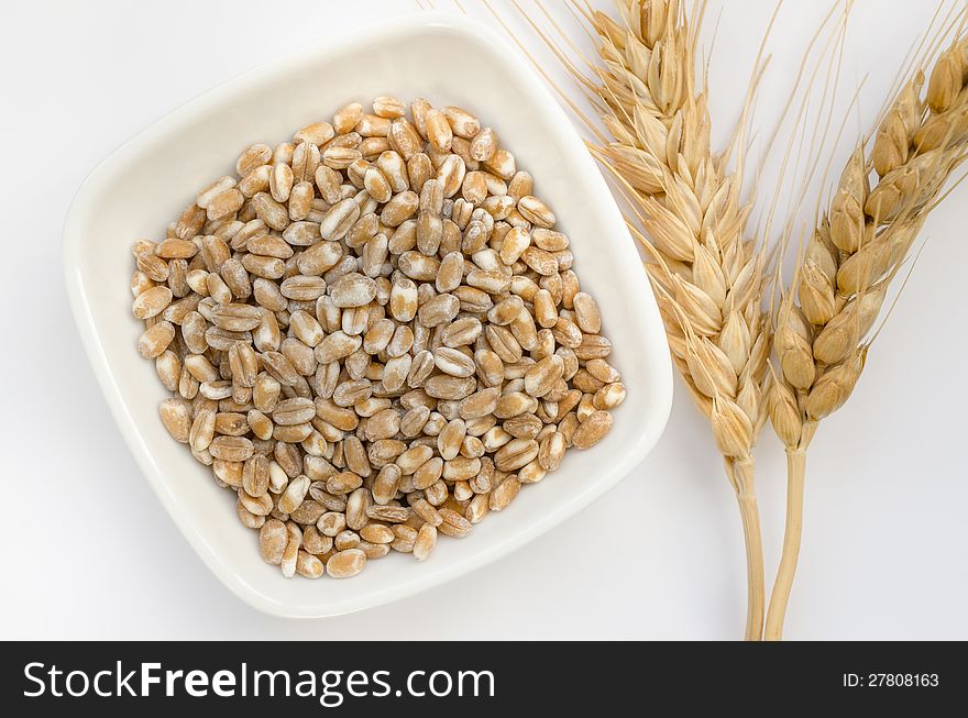 Grown wheat grains and ear on white background. Grown wheat grains and ear on white background