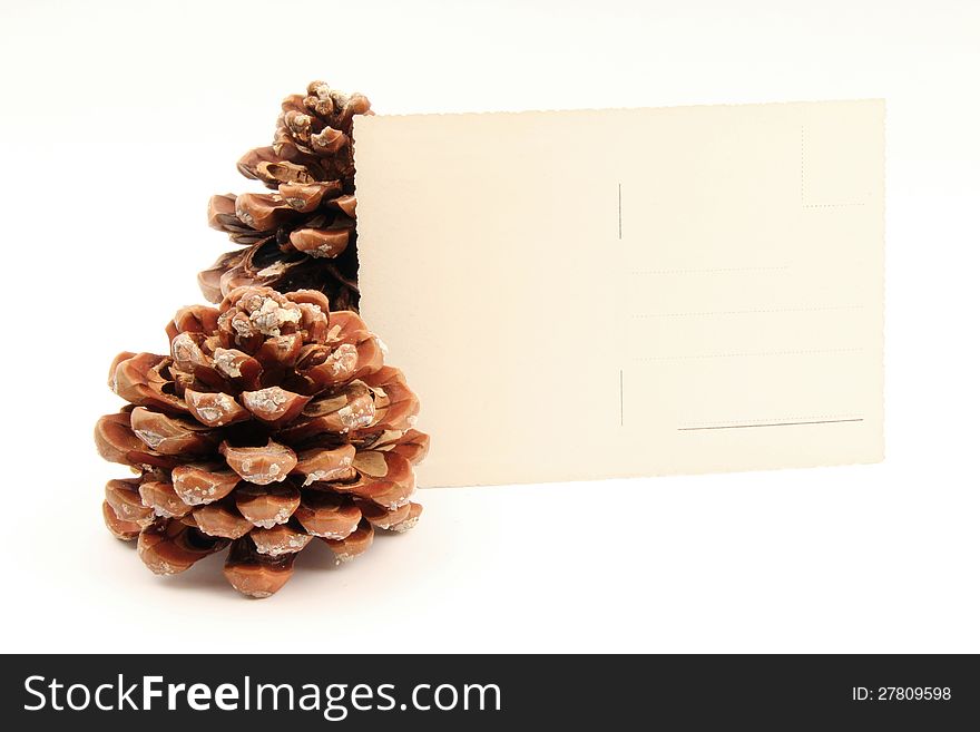 A postcard resting on two pine cone - left side. A postcard resting on two pine cone - left side.