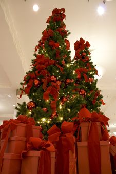 Christmas Tree And Gift Boxes Stock Photo Christmas Tree And Gift Boxes Stock Photo