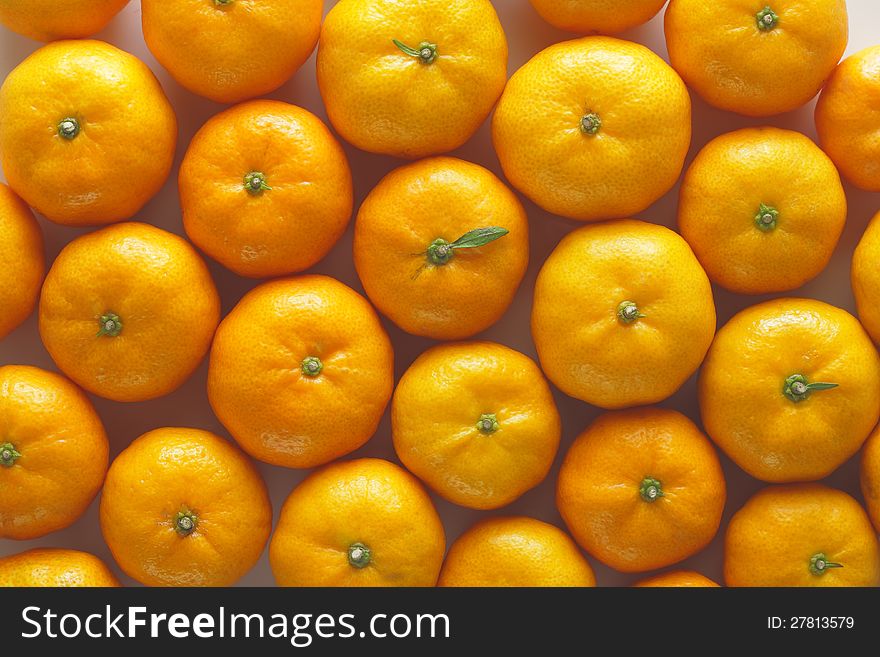 Lots Of Oranges With Water Drops