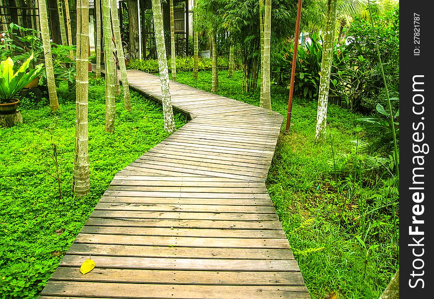 Wooden pathway in beautiful garden. Wooden pathway in beautiful garden.