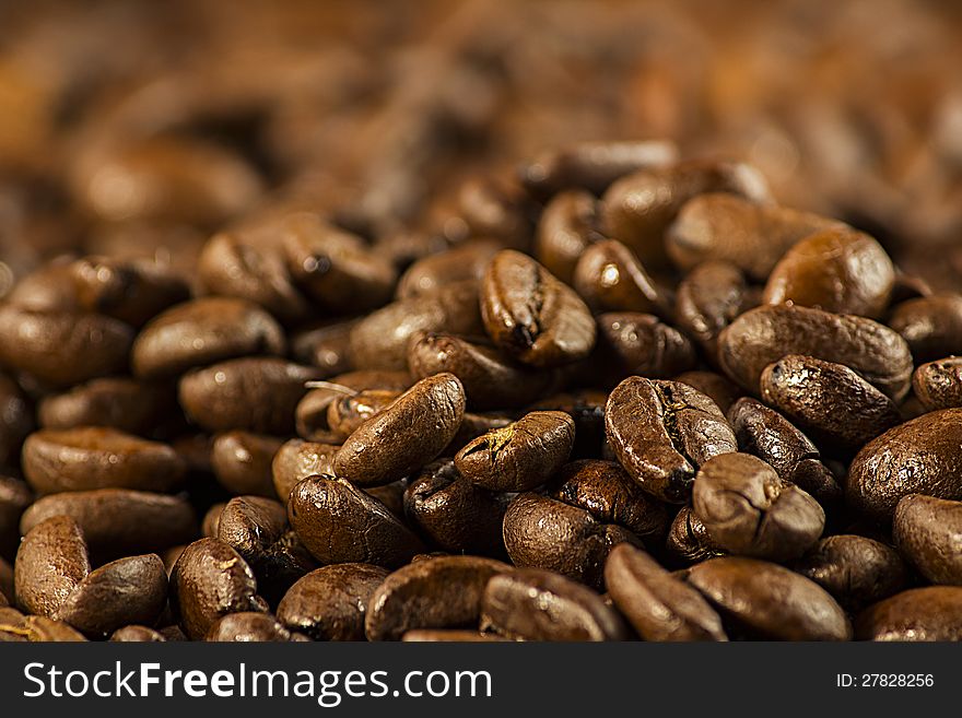 Coffee bean background pattern texture