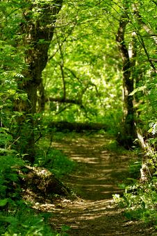 Footpath To Nowhere Royalty Free Stock Photos Footpath To Nowhere Royalty Free Stock Photos