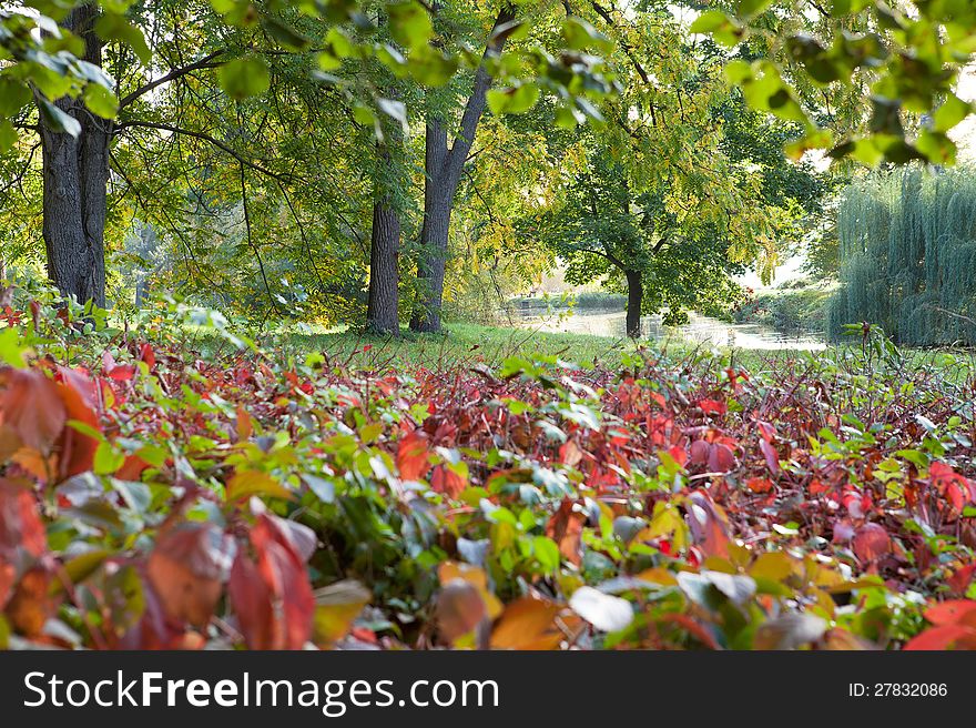 Beautiful Serene Landscape, Autumn