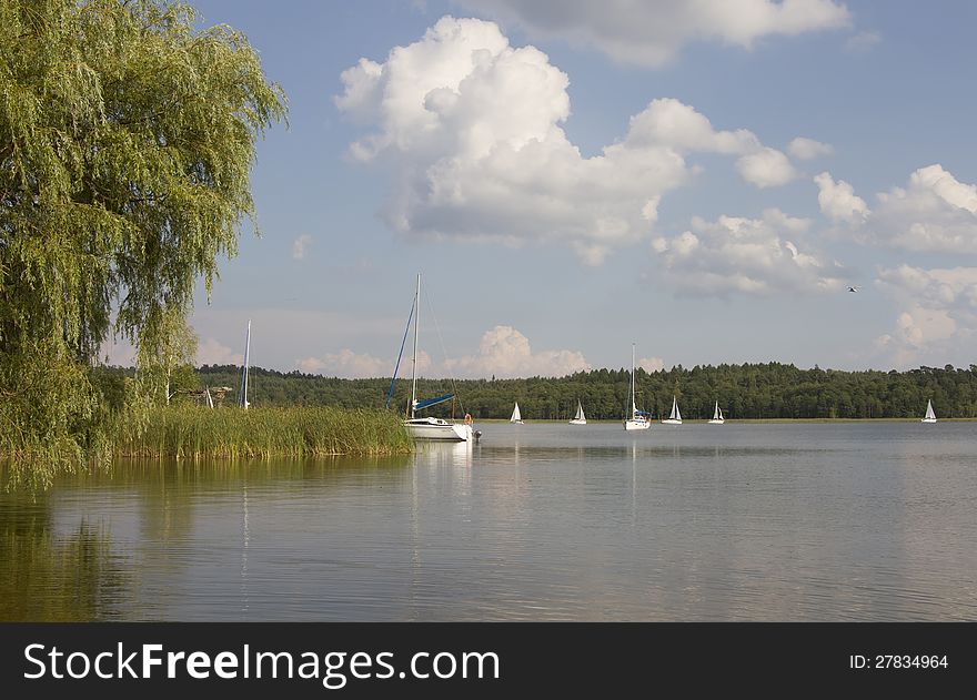 Summer lake scene of good weather with trees and sail boats
