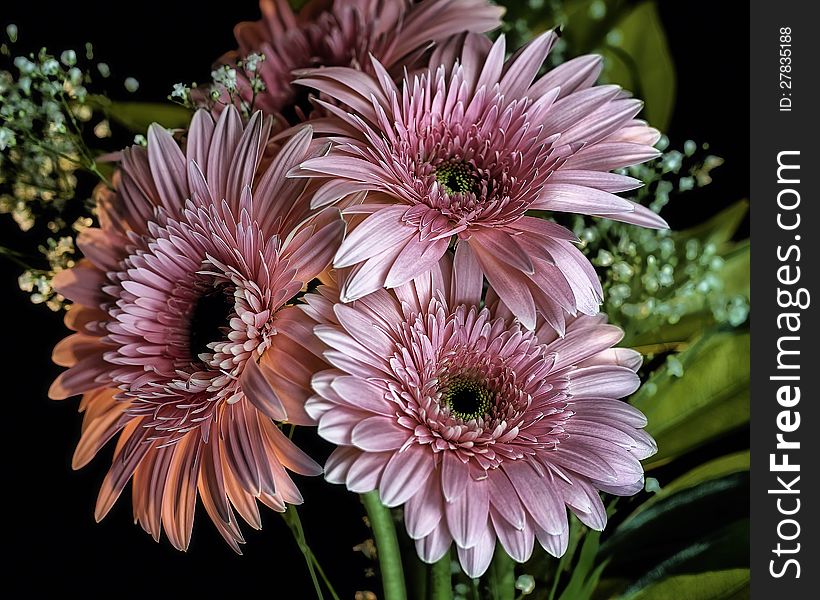 A bouquet of pink flowers. A bouquet of pink flowers.