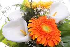 Bouquet Royalty Free Stock Images Bouquet Royalty Free Stock Images
