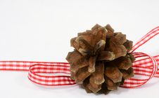 Pine-cone Decoration Royalty Free Stock Image Pine-cone Decoration Royalty Free Stock Image