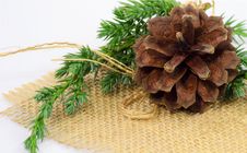 Pine-cone Ornament Stock Image Pine-cone Ornament Stock Image