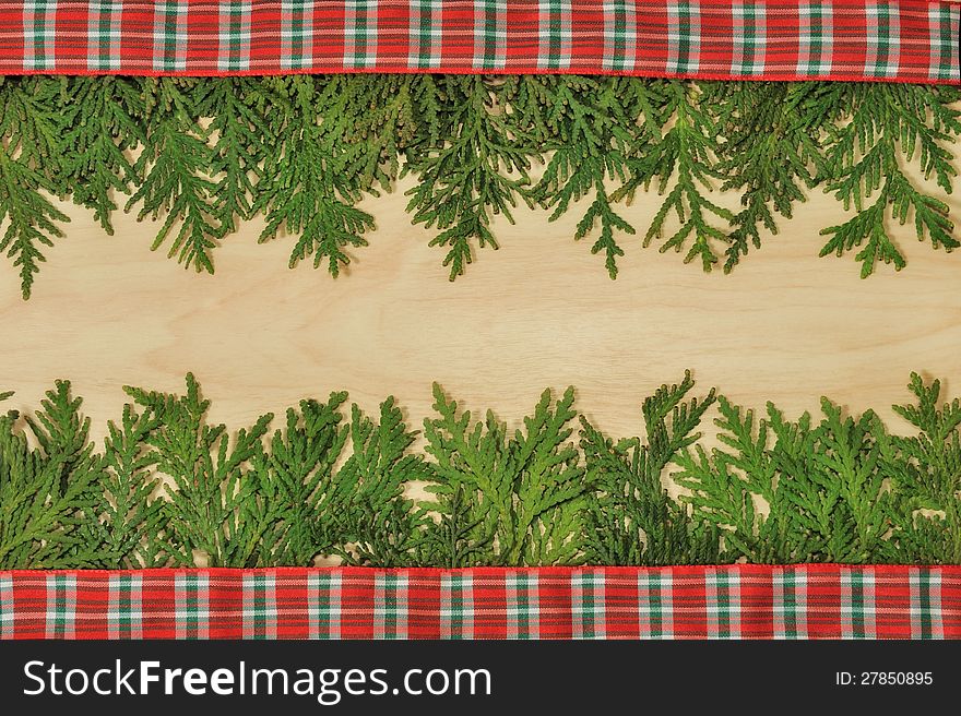 Background of conifer branches