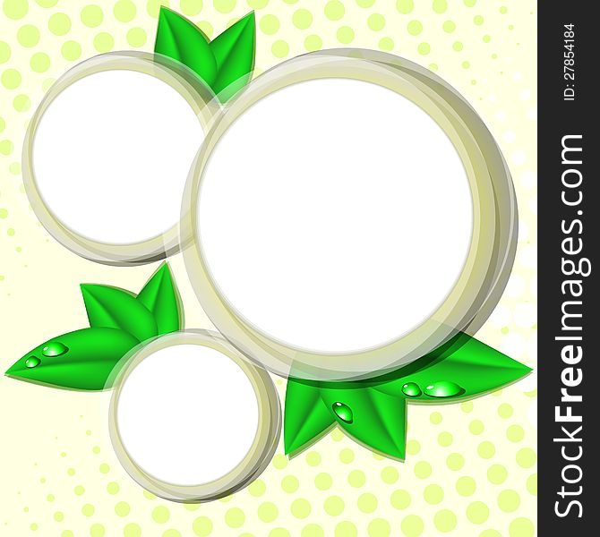 Round stickers or frames decorated with green leaves with dew. Round stickers or frames decorated with green leaves with dew