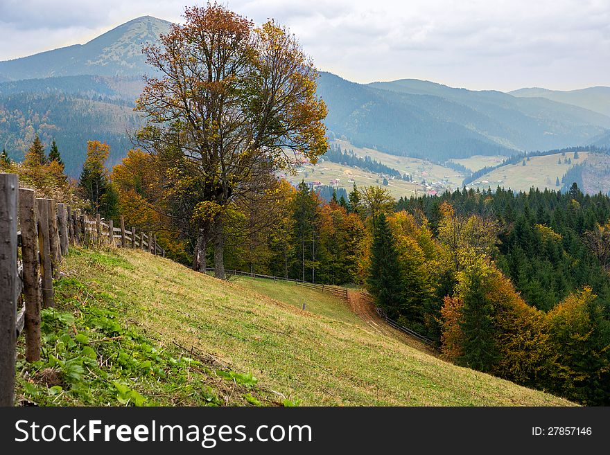 Beautiful autumn forest landscape in the mountains