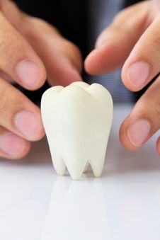 Molar,dental Concept Royalty Free Stock Photos Molar,dental Concept Royalty Free Stock Photos