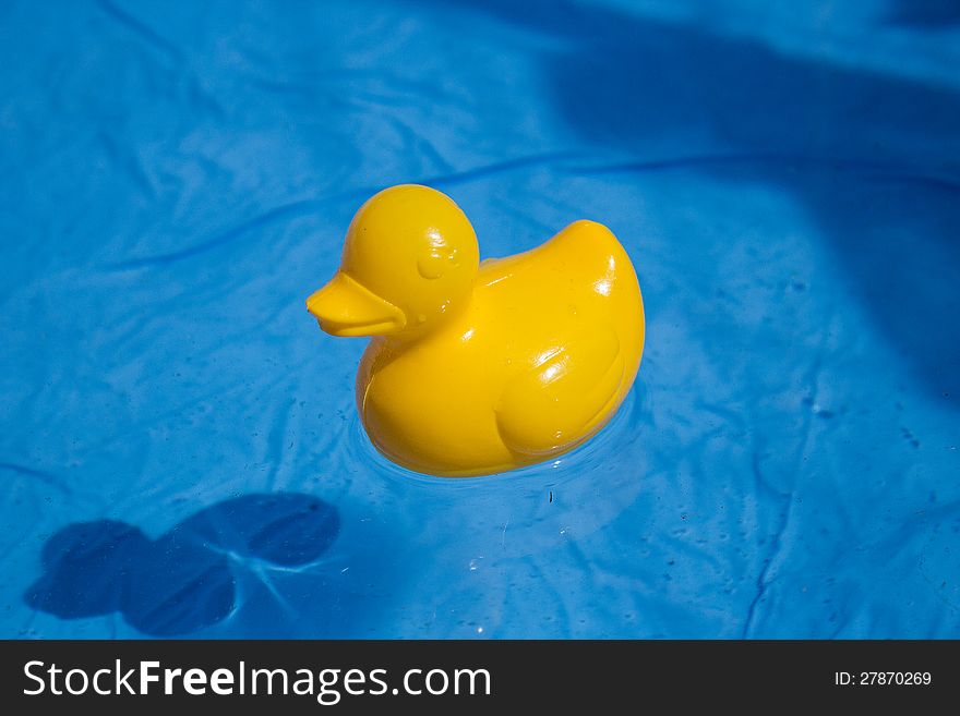 Yellow duck toy in the blue water of the small swimming pool. Yellow duck toy in the blue water of the small swimming pool