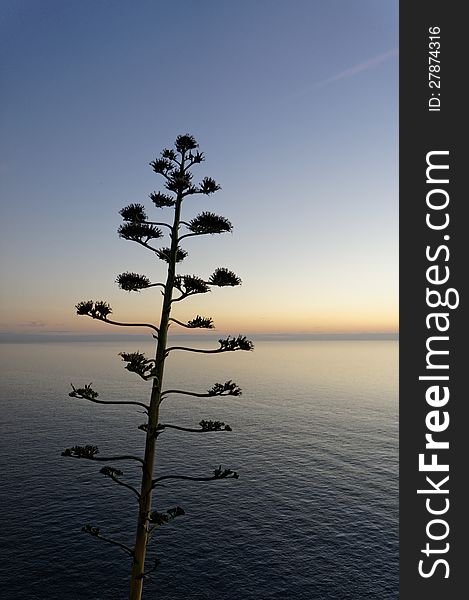 Romantic sunset on ligurian sea