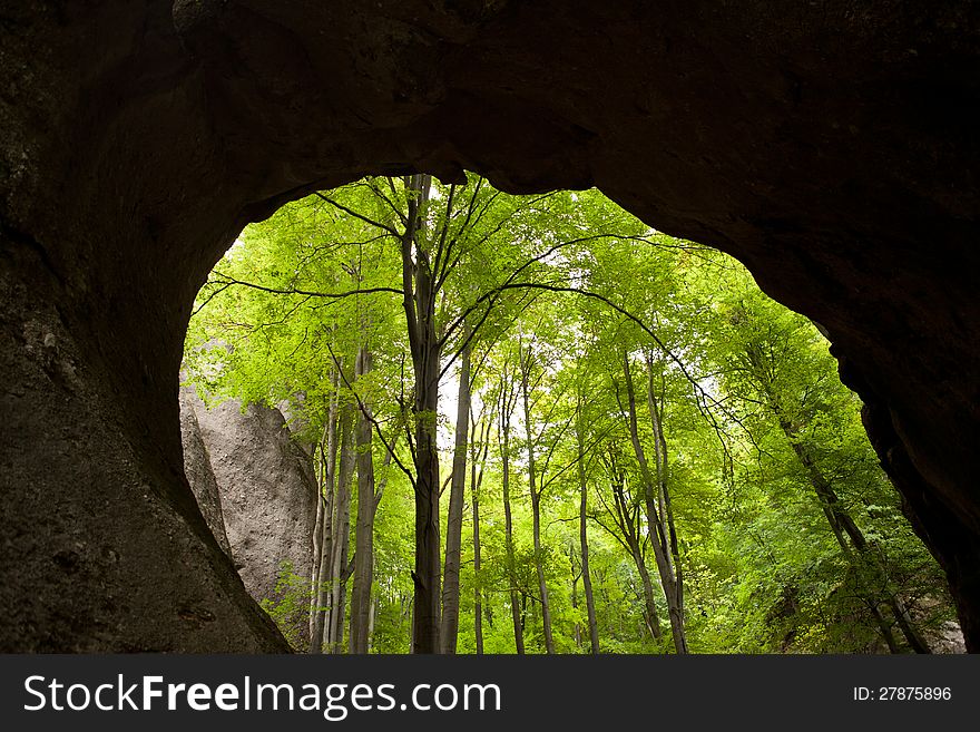 View through the rock window on the lush green forest. View through the rock window on the lush green forest