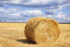 Wheaten Field With Sheaf Royalty Free Stock Photos