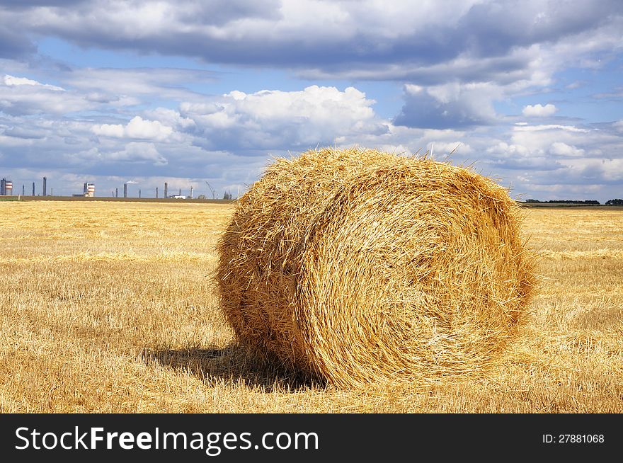 Wheaten field with sheaf