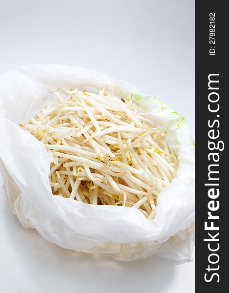 Bean sprouts on white background