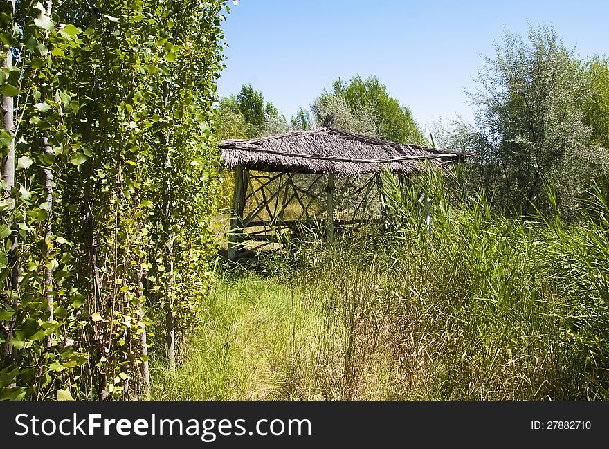 Viiew of beauty hut in the wood (kazakhstan)