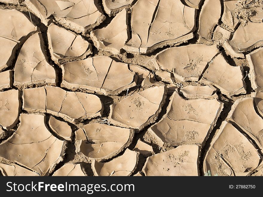 Dried and cracked earth background. Dried and cracked earth background