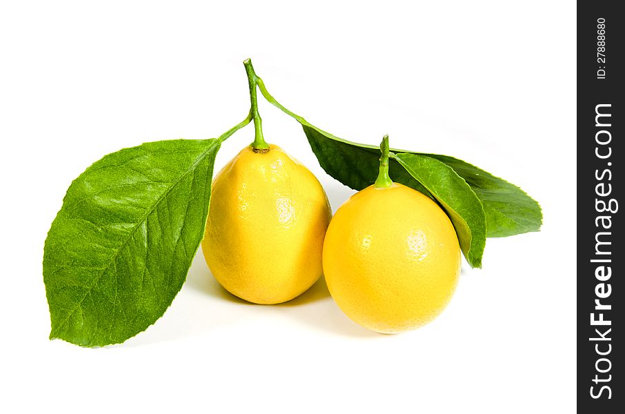 Two lemons