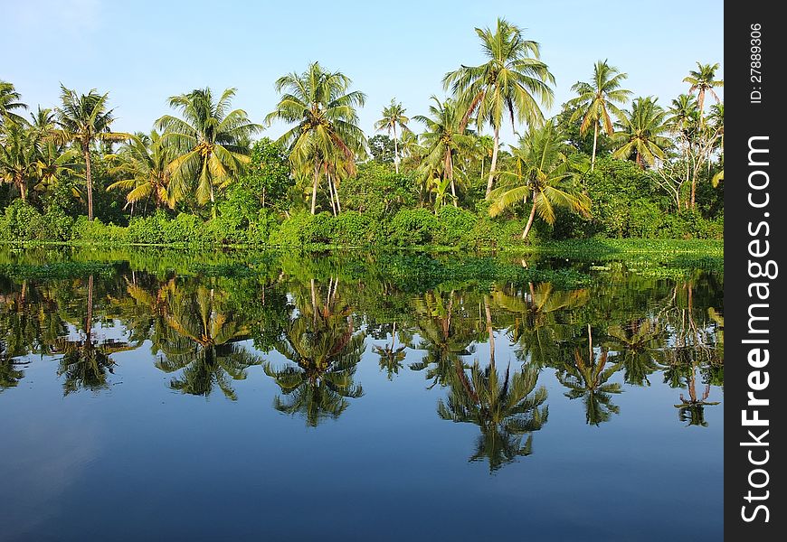 The Kerala Backwaters are a network of interconnected canals, rivers, lakes and inlets, a labyrinthine system formed by more than 900Â km of waterways. National Waterway No. 3 from Kollam to Kottapuram, covers a distance of 205Â km and runs almost parallel to the coast line of southern Kerala facilitating both cargo movement and backwater tourism. The backwaters have a unique ecosystem - freshwater from the rivers meets the seawater from the Arabian Sea. Many unique species of aquatic life including crabs, frogs and mudskippers, water birds such as terns, kingfishers, darters and cormorants, and animals such as otters and turtles live in and alongside the backwaters. Palm trees, pandanus shrubs, various leafy plants and bushes grow alongside the backwaters, providing a green hue to the surrounding landscape. The Kerala Backwaters are a network of interconnected canals, rivers, lakes and inlets, a labyrinthine system formed by more than 900Â km of waterways. National Waterway No. 3 from Kollam to Kottapuram, covers a distance of 205Â km and runs almost parallel to the coast line of southern Kerala facilitating both cargo movement and backwater tourism. The backwaters have a unique ecosystem - freshwater from the rivers meets the seawater from the Arabian Sea. Many unique species of aquatic life including crabs, frogs and mudskippers, water birds such as terns, kingfishers, darters and cormorants, and animals such as otters and turtles live in and alongside the backwaters. Palm trees, pandanus shrubs, various leafy plants and bushes grow alongside the backwaters, providing a green hue to the surrounding landscape.