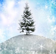 Winter Tree Royalty Free Stock Photo Winter Tree Royalty Free Stock Photo