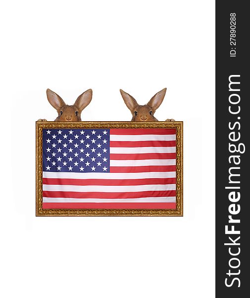 Two rabbits against the American flag