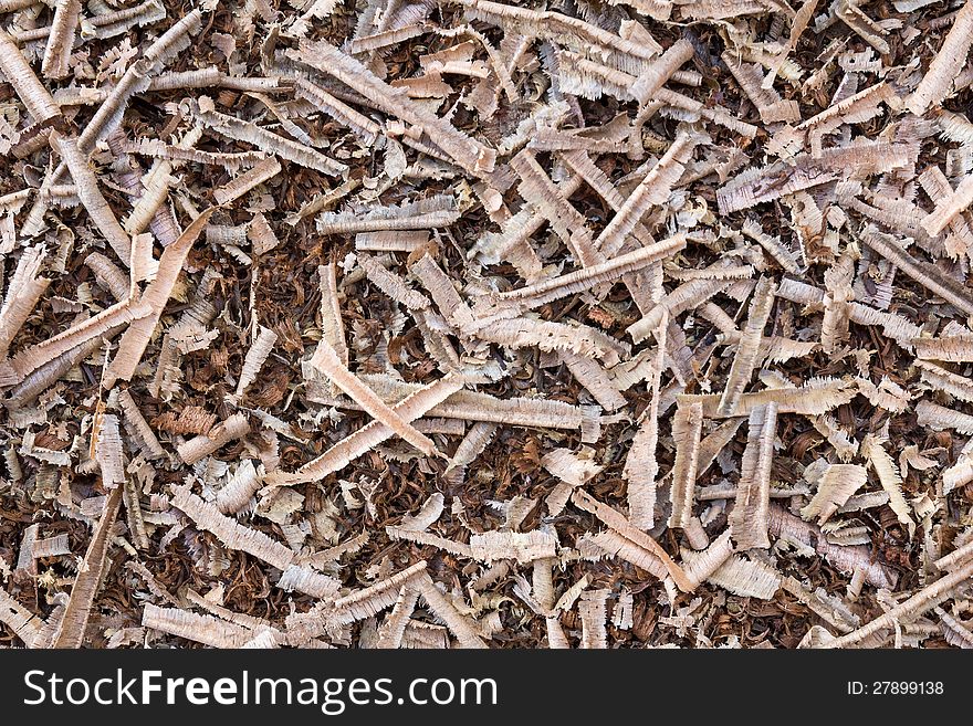 Wooden sawdust and Wood chips texture shavings background