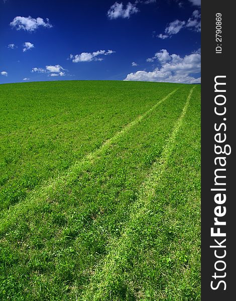 Field path destined to the blue sky with clouds. Field path destined to the blue sky with clouds