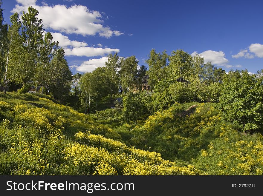 Green Field With Yellow Flower