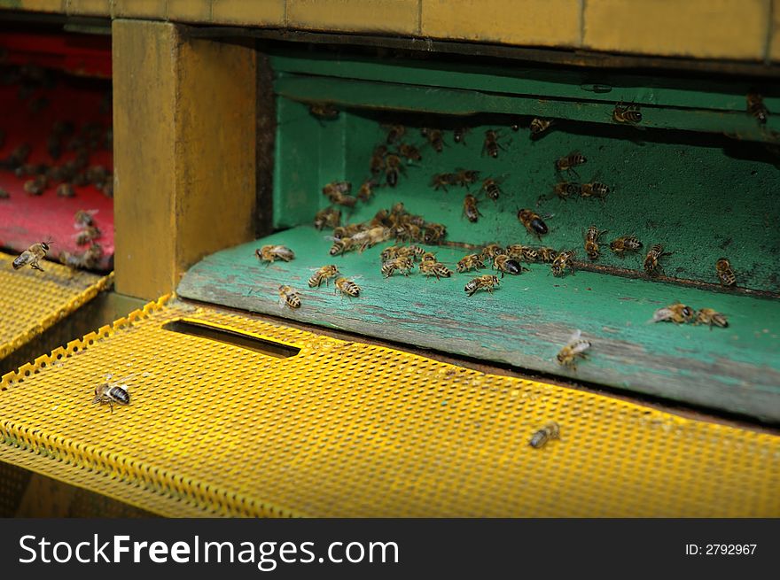 Color beehive in the summer forest. Color beehive in the summer forest