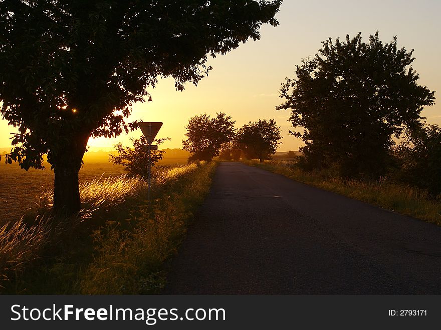 Red summer sunset aftef hot day. Silhouettes of trees, sun and road. Red summer sunset aftef hot day. Silhouettes of trees, sun and road.