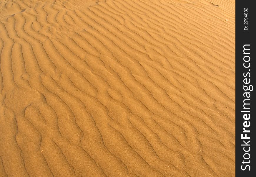 Sandy dunes waves in the desert. Sandy dunes waves in the desert