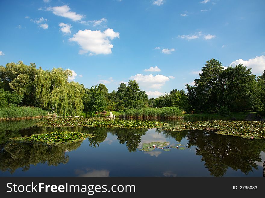 Beauty summer landscape background texture