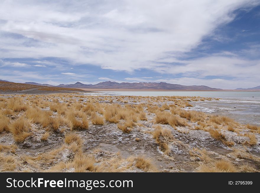 Salt lake in the Altiplano of Bolivia