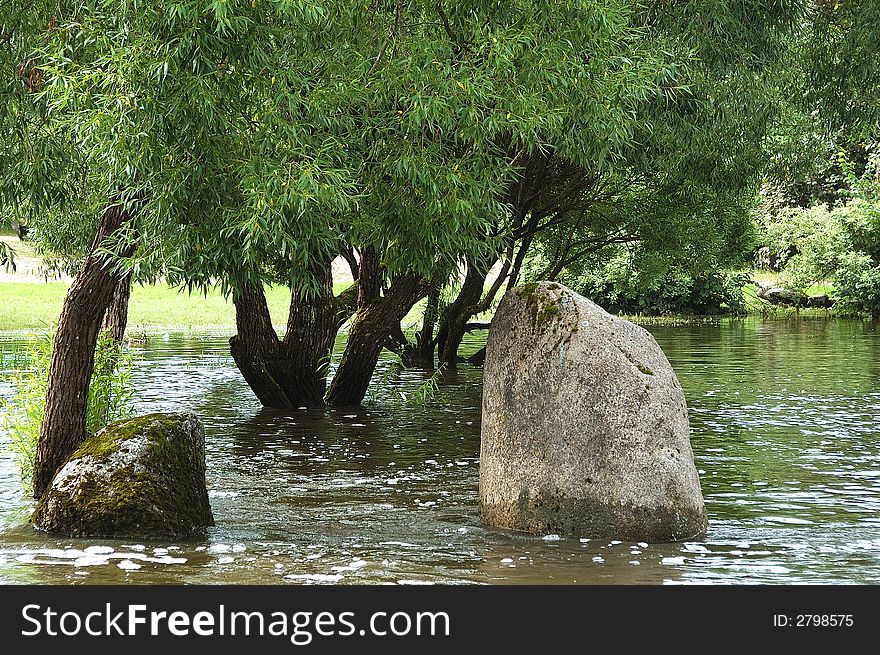 Flood of the river, Lithuania. Flood of the river, Lithuania.