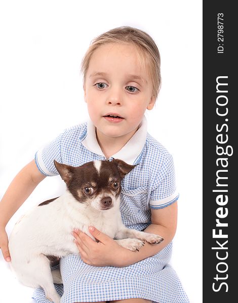 Small girl and her small chihuahua on the white background. Small girl and her small chihuahua on the white background