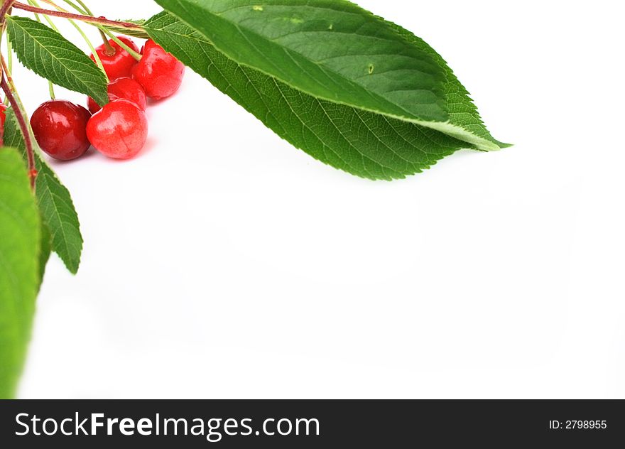 Fresh red cherries on the white background