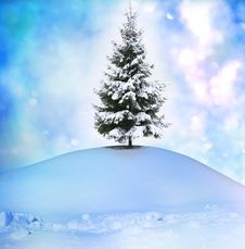 Winter Tree Royalty Free Stock Photography Winter Tree Royalty Free Stock Photography
