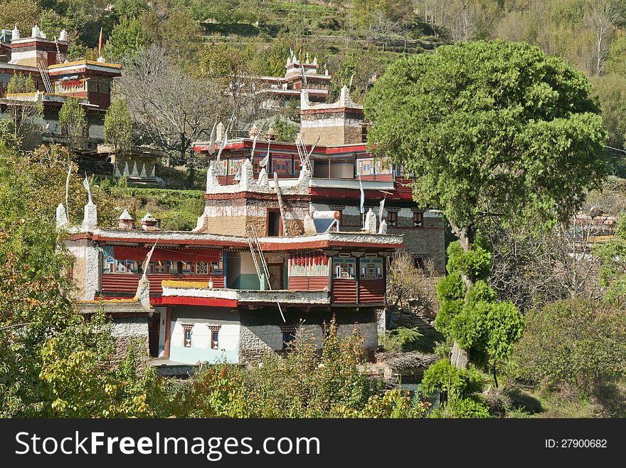 A Tibetan folk house with a big tree nearby