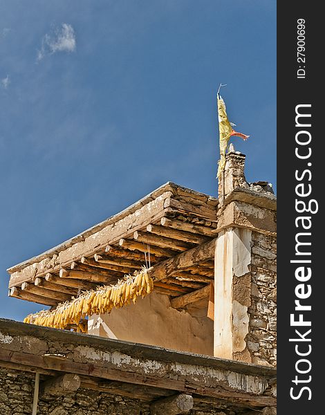 Corns are hanged under the eave of a tibetan folk house