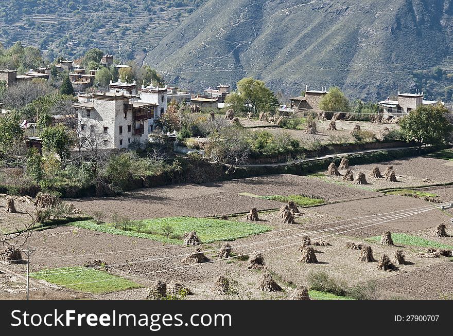 A tibetan village surrounded by broad fields. A tibetan village surrounded by broad fields