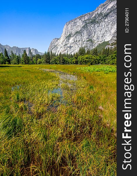 Yosemite valley view with mountains in the background and meadow foreground on a sunny day. Yosemite valley view with mountains in the background and meadow foreground on a sunny day