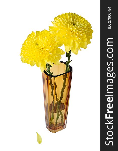 Two flowers in a glass vase on a white background