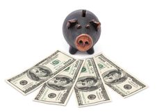 Money And Black Piggy Bank Stock Photos