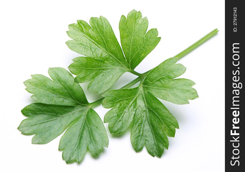 Parsley on a white background. Parsley on a white background.