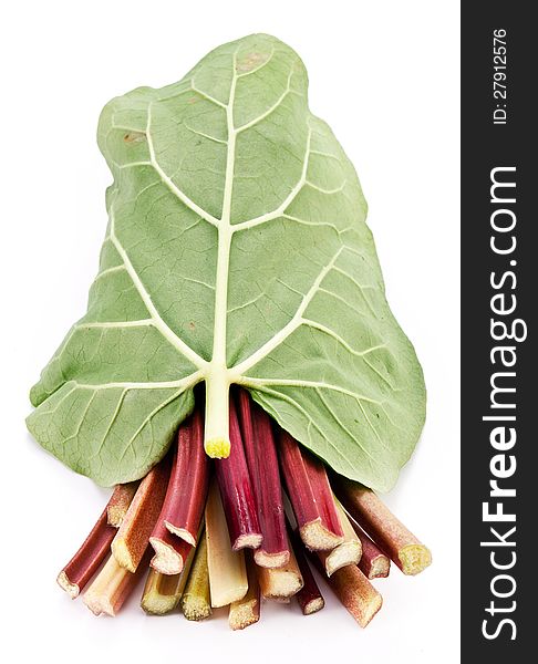 Rhubarb stalks on a white background. Rhubarb stalks on a white background.