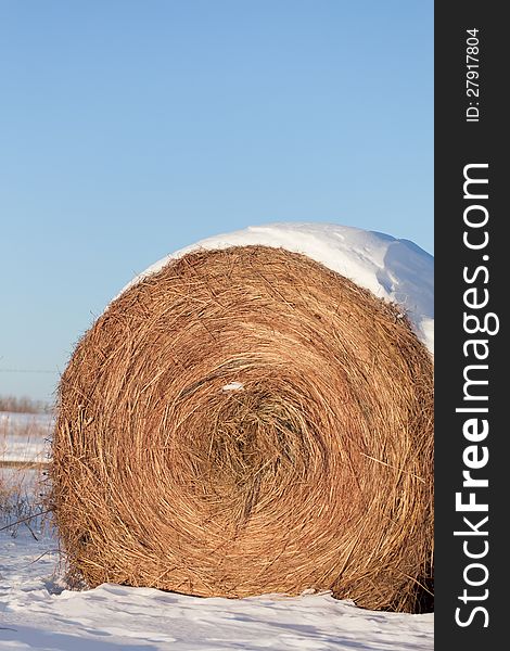 Vertical shot of a snow-covered hay bale on a farm in Kansas